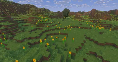 A sunflower plains biome under a clear sky, with sunflowers facing east