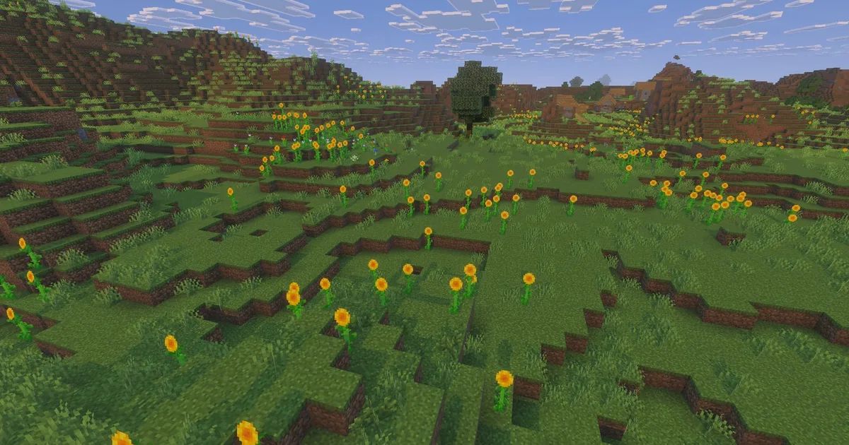 A sunflower plains biome under a clear sky, with sunflowers facing east